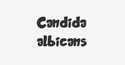 Thumbnail for lifespan of Candida albicans