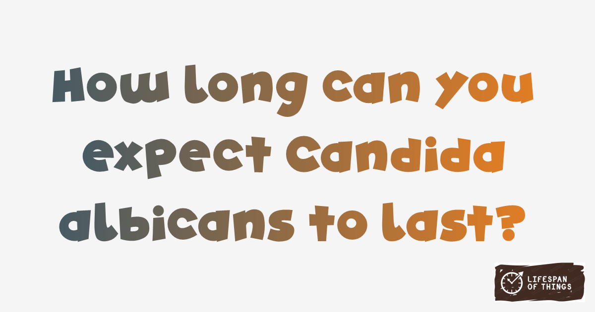 Lifespan of Candida albicans