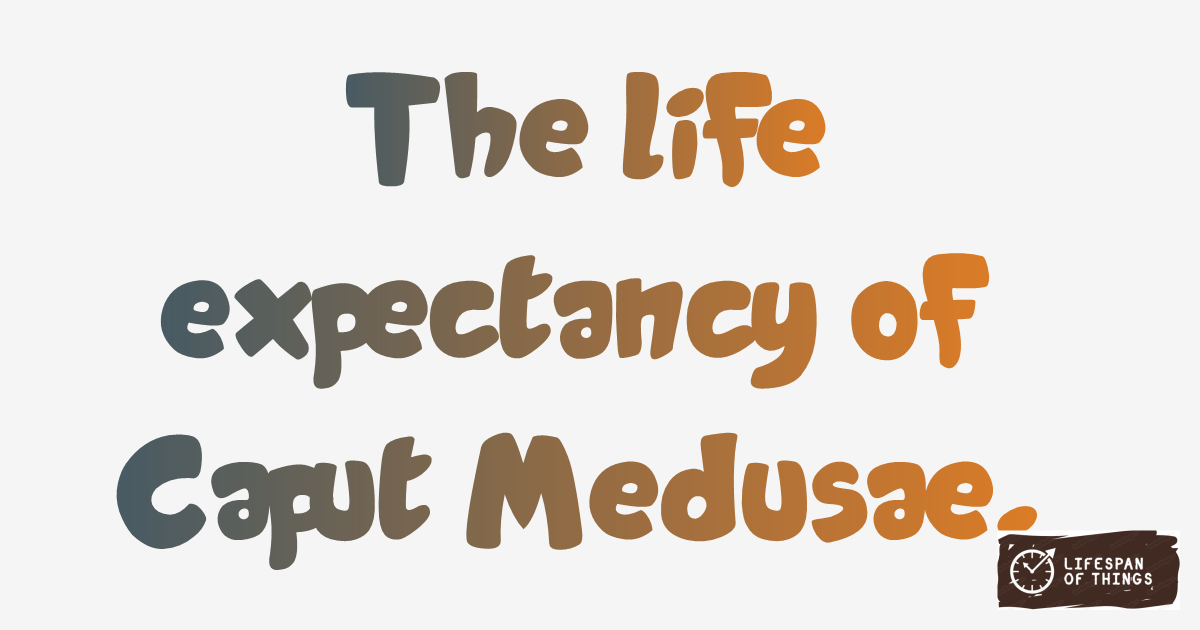 Lifespan of Caput Medusae