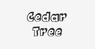 Thumbnail for lifespan of Cedar Tree
