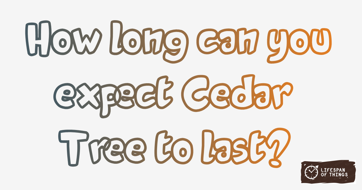 Lifespan of Cedar Tree