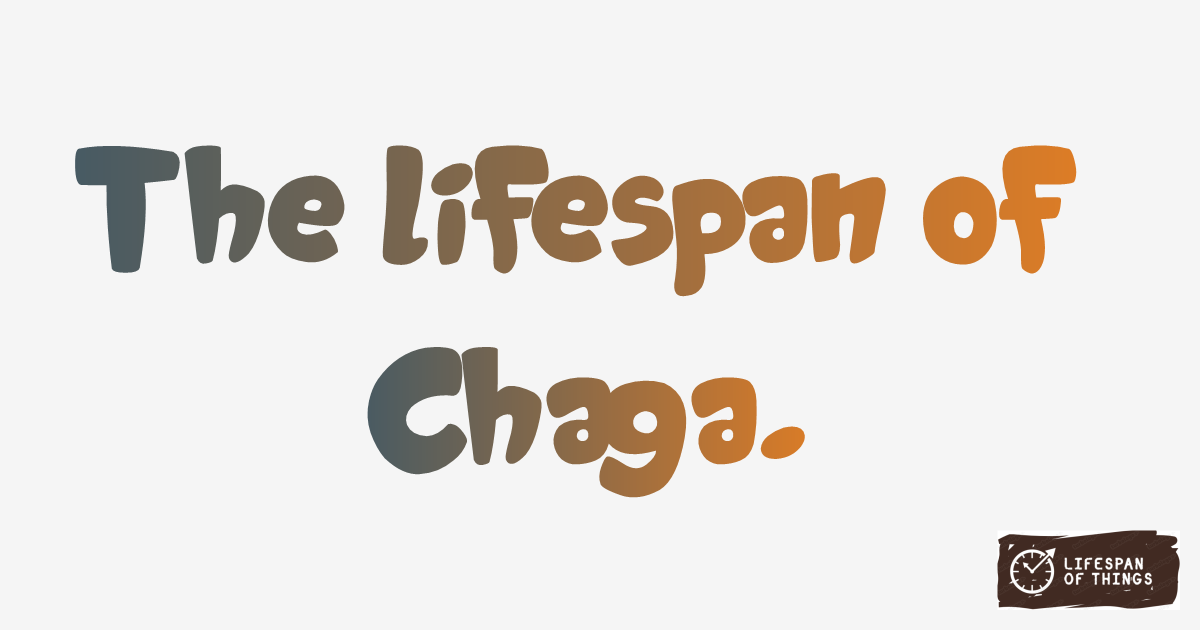 Lifespan of Chaga