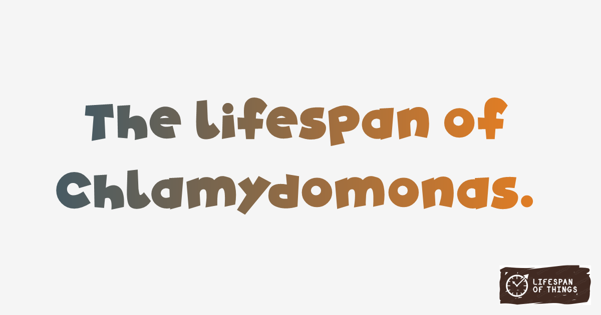 Lifespan of Chlamydomonas
