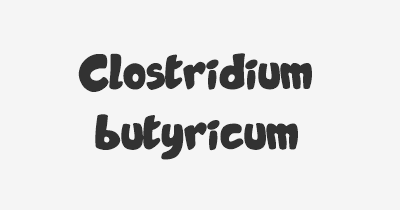 Thumbnail for lifespan of Clostridium butyricum