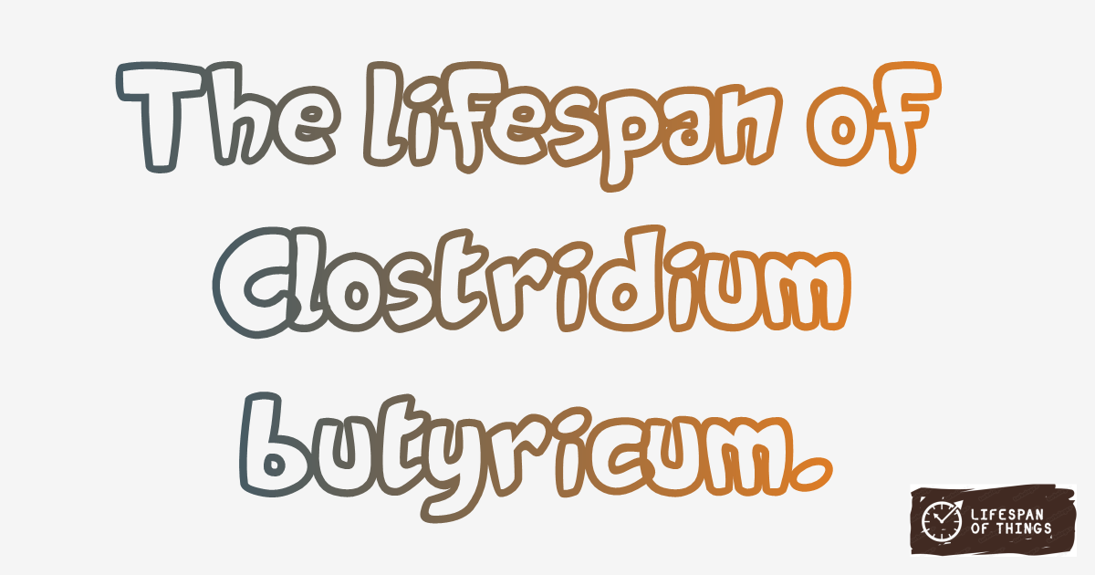 Lifespan of Clostridium butyricum