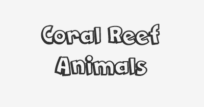 Thumbnail for lifespan of Coral Reef Animals