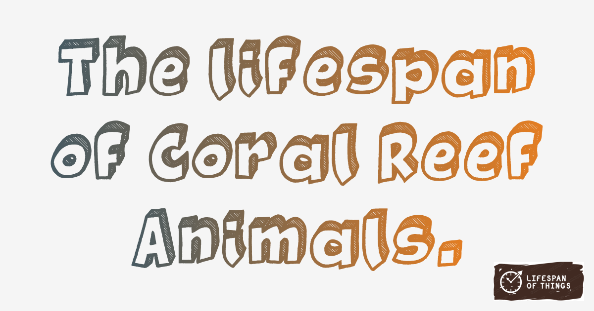 Lifespan of Coral Reef Animals