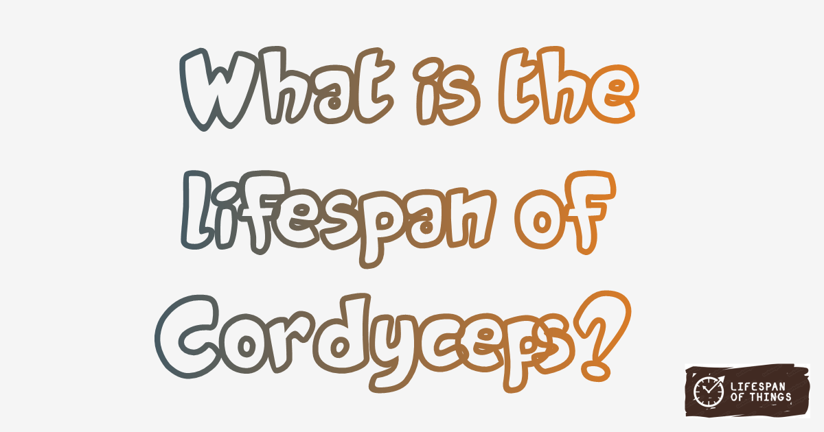 Lifespan of Cordyceps