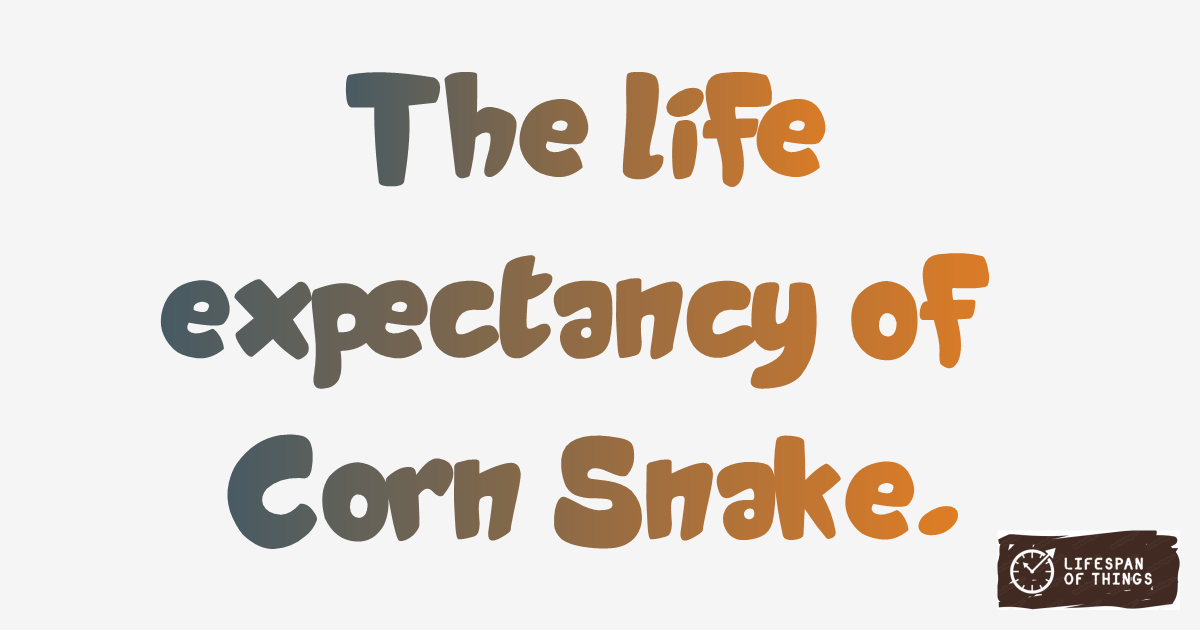 Lifespan of Corn Snake