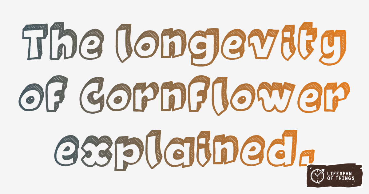 Lifespan of Cornflower