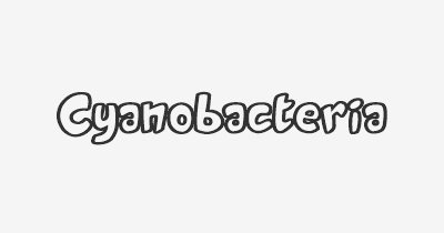 Thumbnail for lifespan of Cyanobacteria