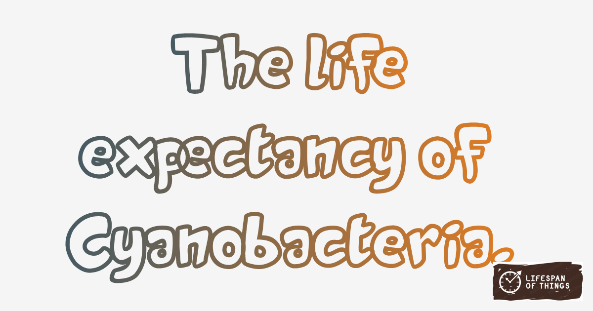 Lifespan of Cyanobacteria