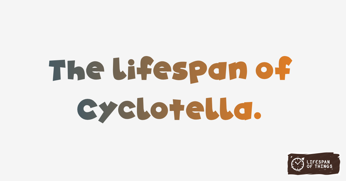 Lifespan of Cyclotella