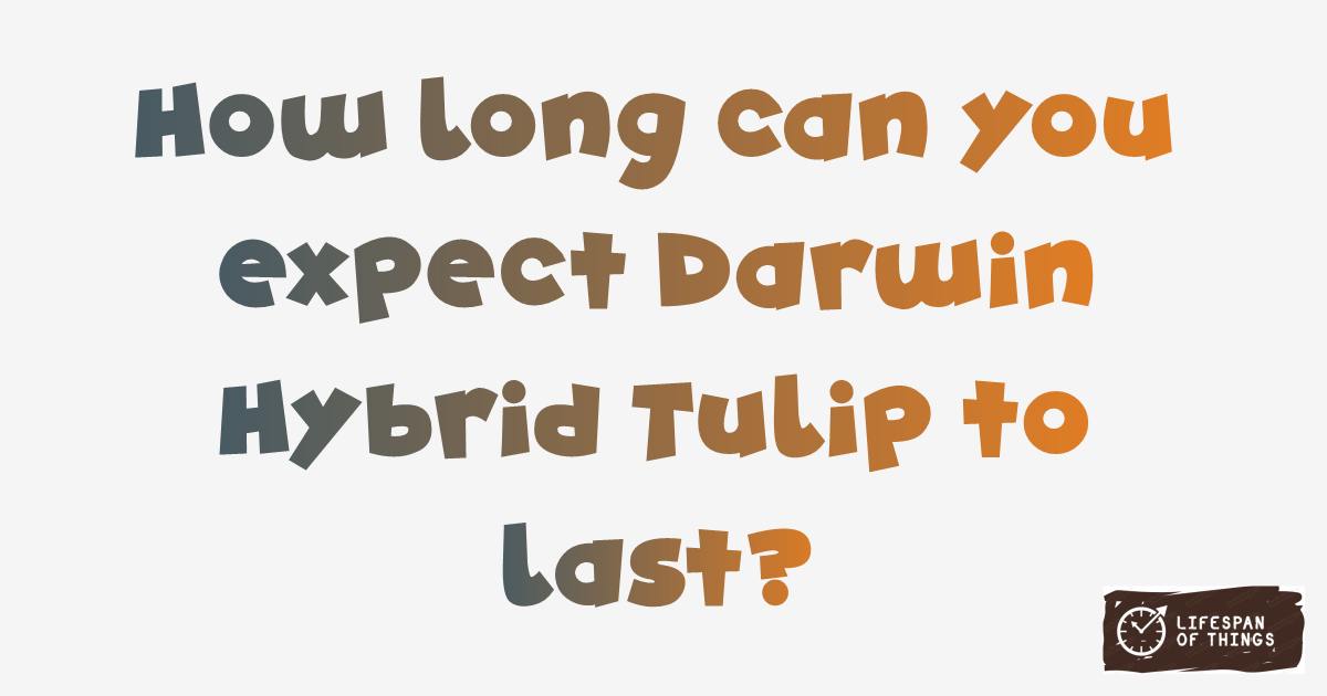 Lifespan of Darwin Hybrid Tulip