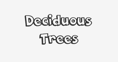 Thumbnail for lifespan of Deciduous Trees