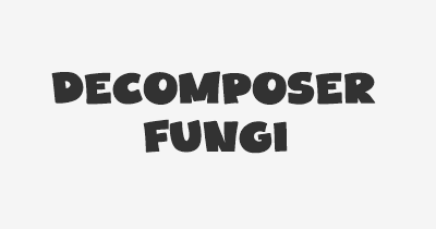 Thumbnail for lifespan of Decomposer Fungi