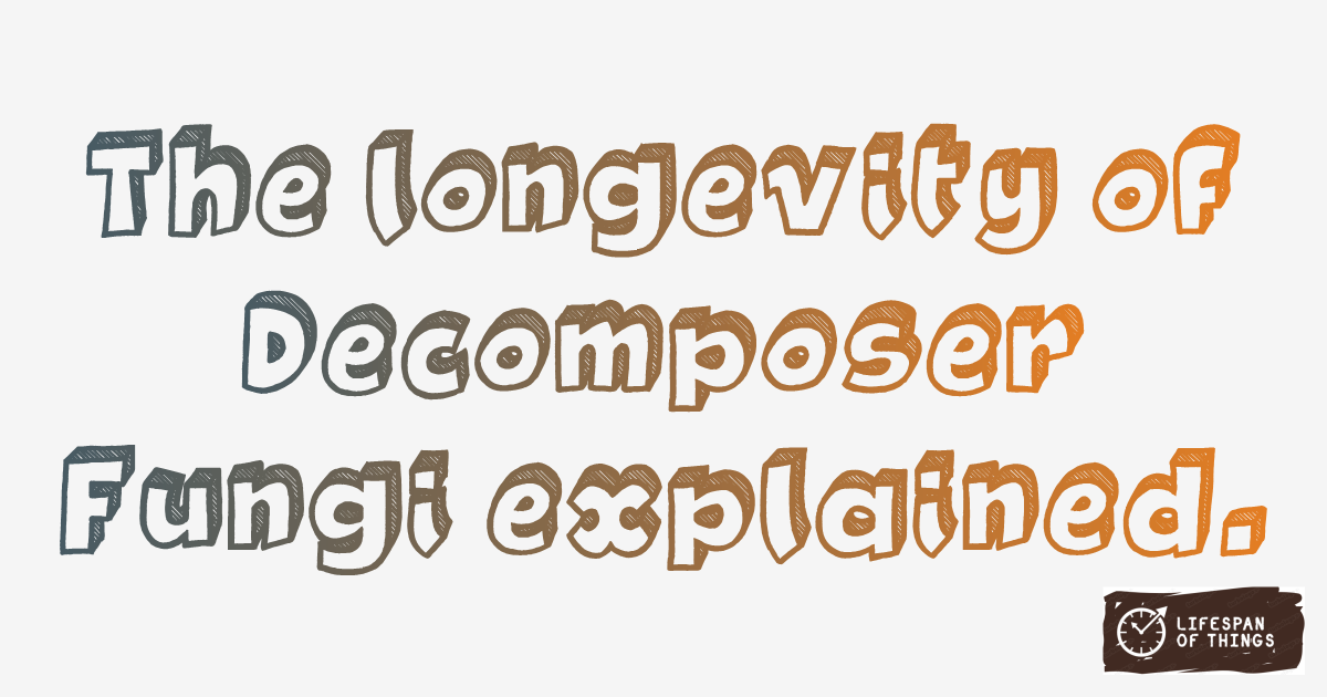 Lifespan of Decomposer Fungi