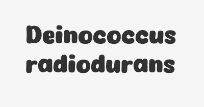 Thumbnail for lifespan of Deinococcus radiodurans