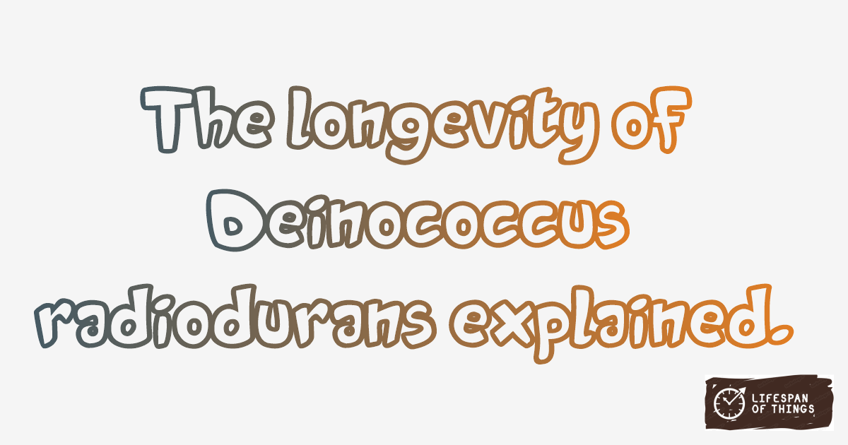 Lifespan of Deinococcus radiodurans