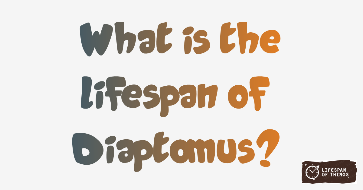 Lifespan of Diaptomus