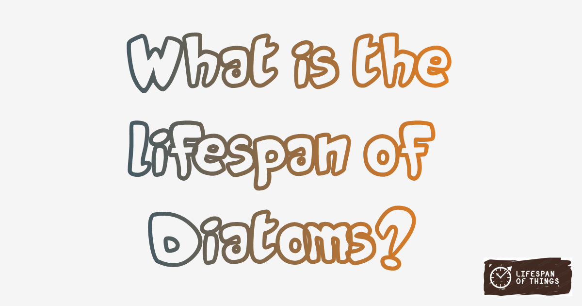 Lifespan of Diatoms