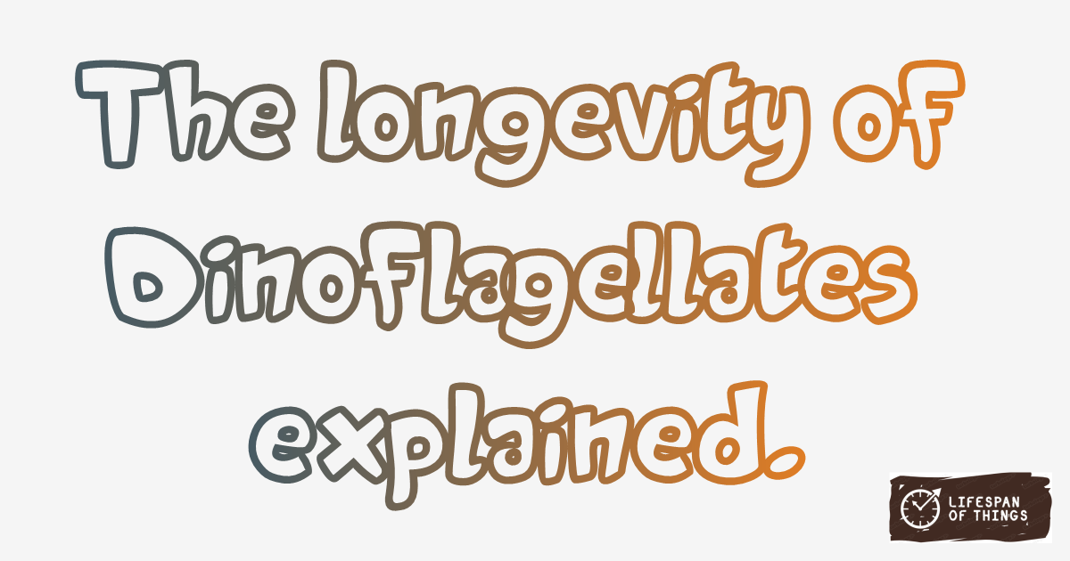 Lifespan of Dinoflagellates
