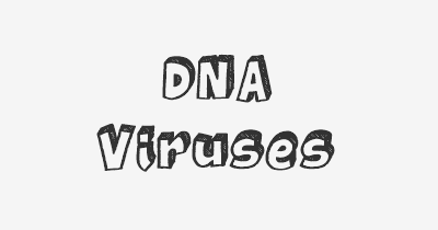 Thumbnail for lifespan of DNA Viruses
