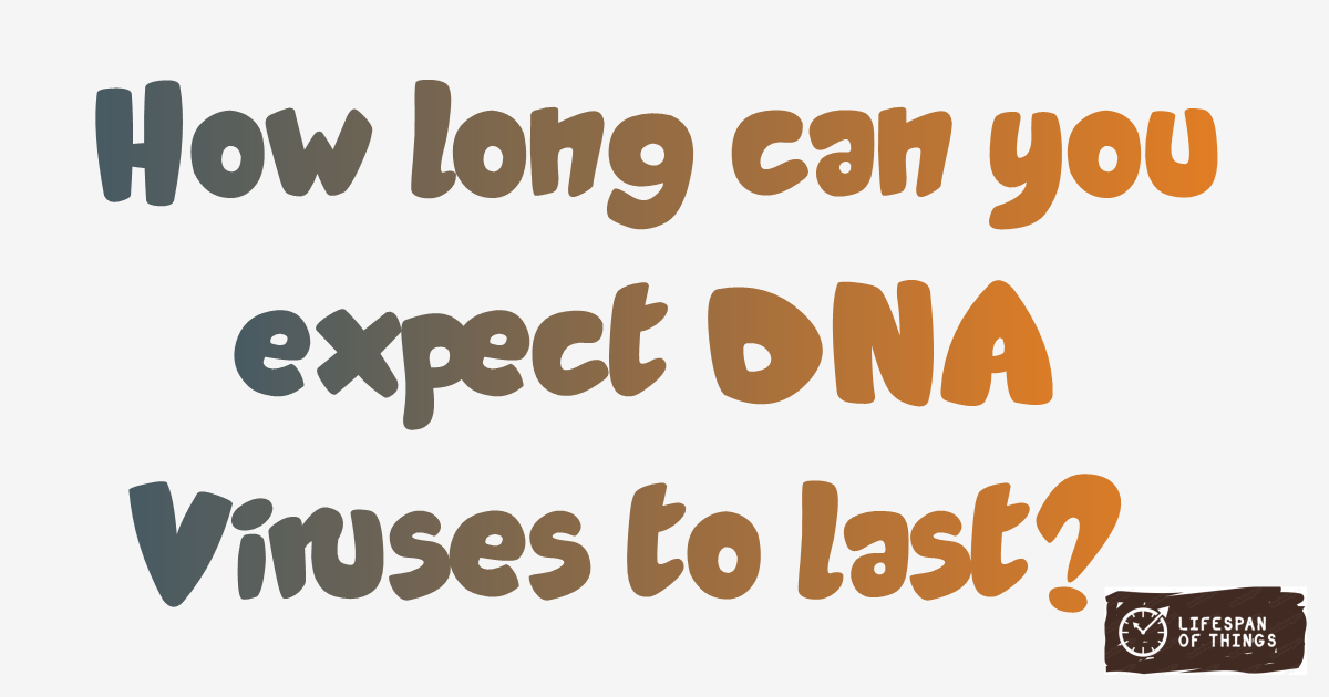 Lifespan of DNA Viruses