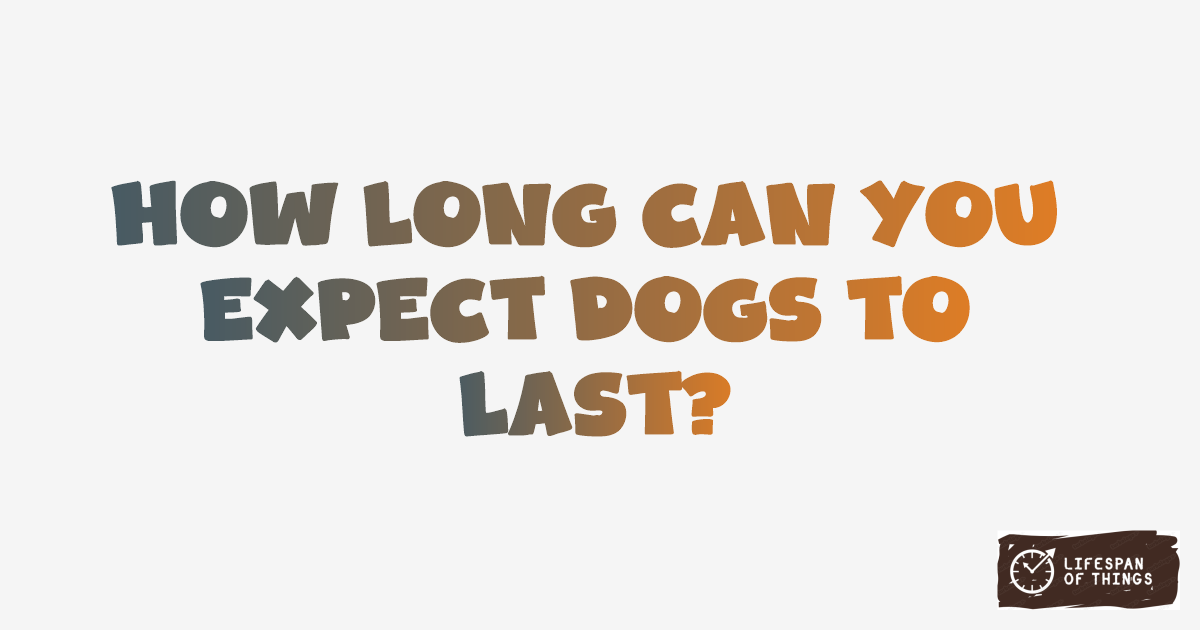 Lifespan of Dogs