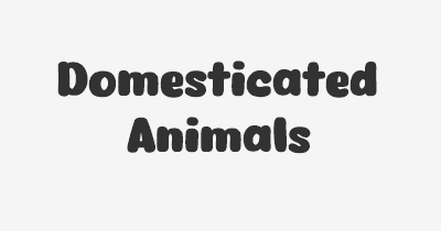 Thumbnail for lifespan of Domesticated Animals