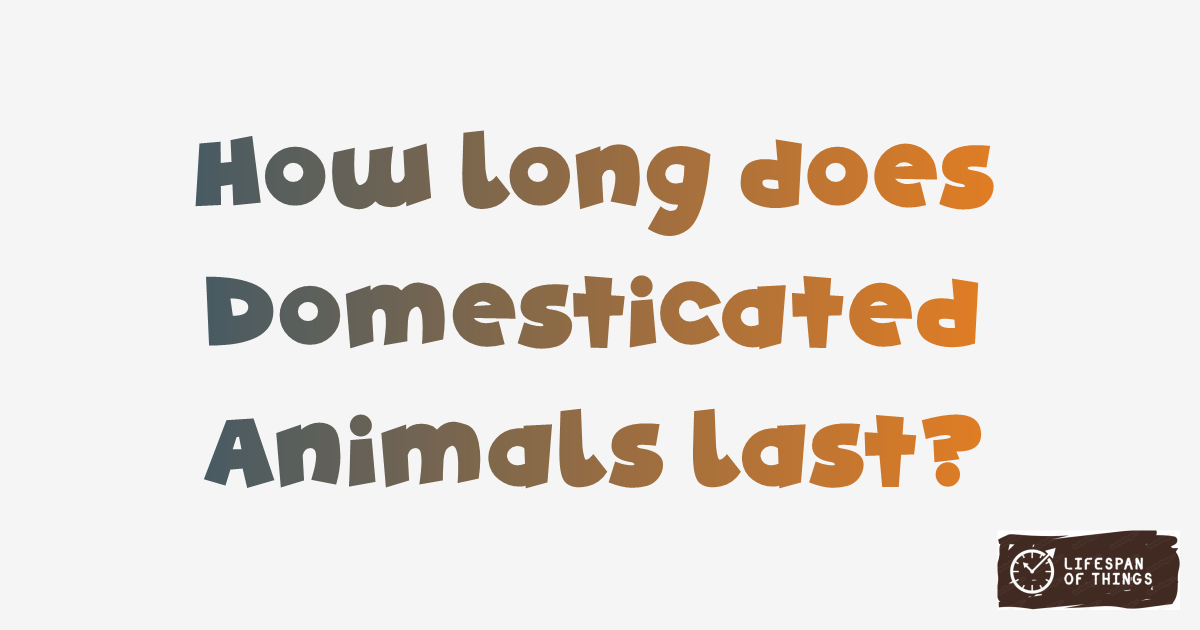 Lifespan of Domesticated Animals