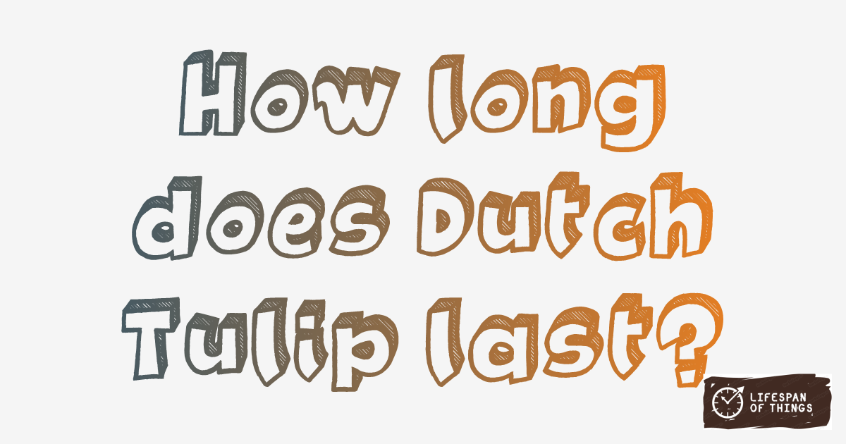 Lifespan of Dutch Tulip