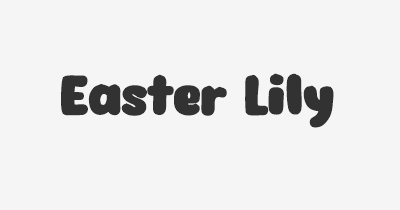 Thumbnail for lifespan of Easter Lily
