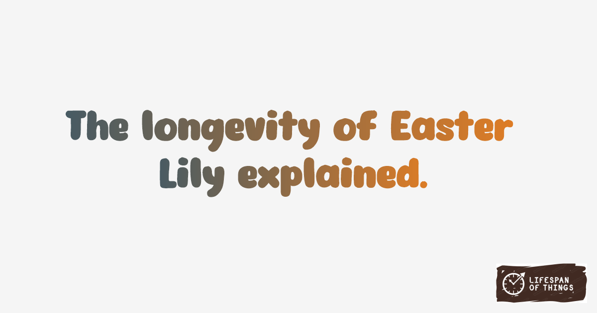 Lifespan of Easter Lily