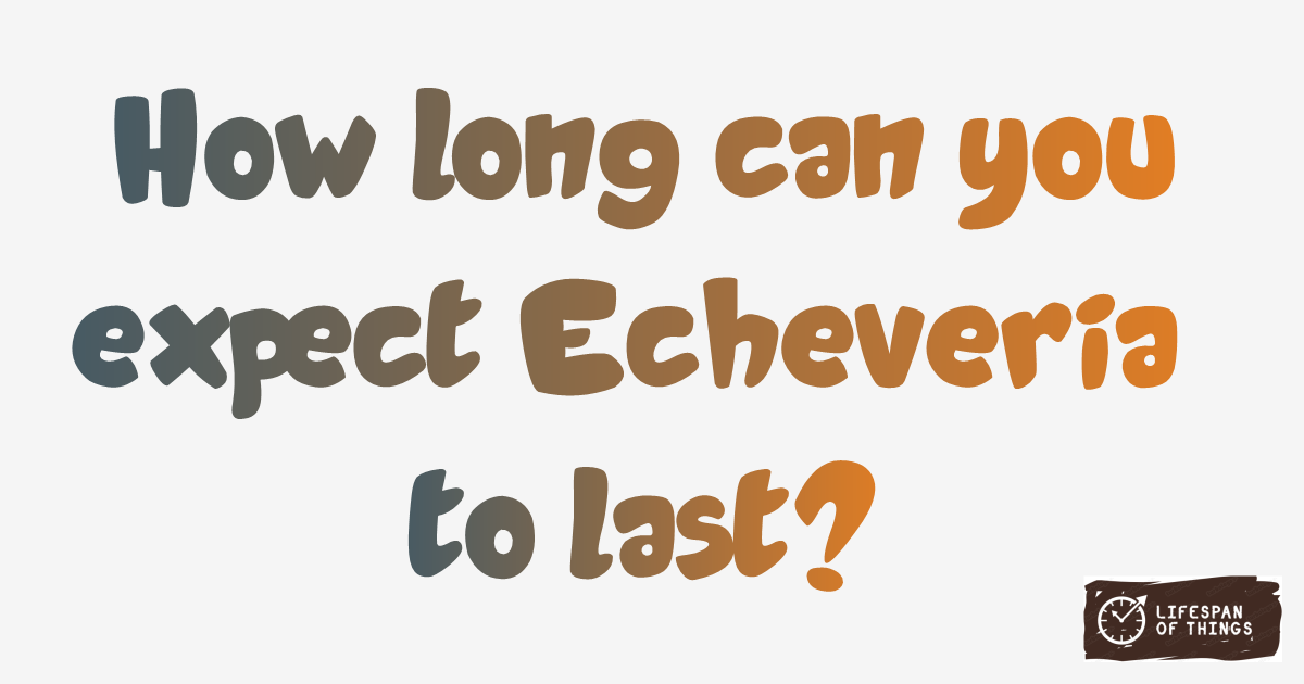 Lifespan of Echeveria