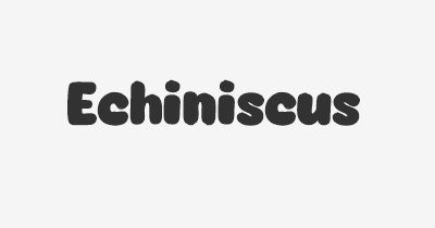Thumbnail for lifespan of Echiniscus