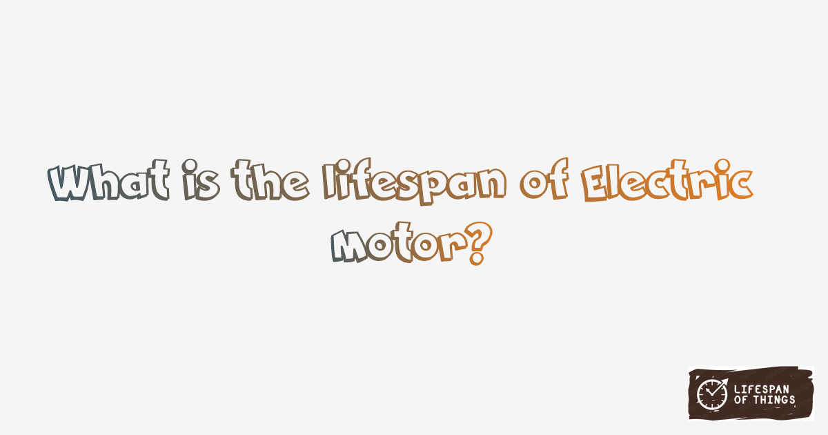 Lifespan of Electric Motor