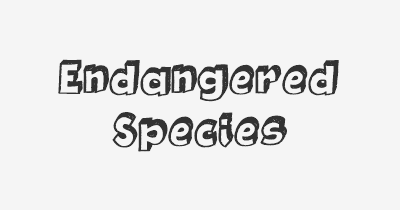 Thumbnail for lifespan of Endangered Species