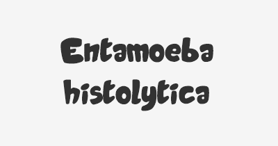 Thumbnail for lifespan of Entamoeba histolytica