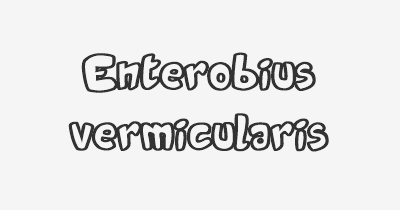 Thumbnail for lifespan of Enterobius vermicularis