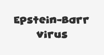 Thumbnail for lifespan of Epstein-Barr Virus