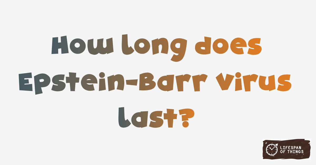 Lifespan of Epstein-Barr Virus