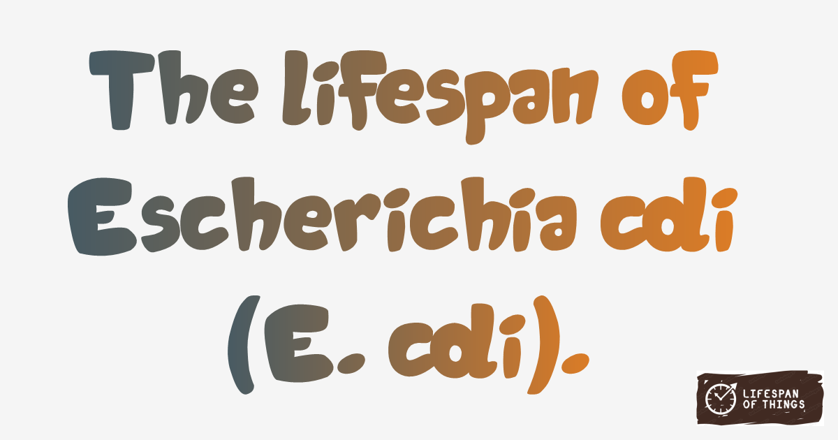 Lifespan of Escherichia coli (E. coli)