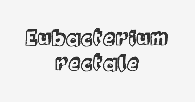 Thumbnail for lifespan of Eubacterium rectale