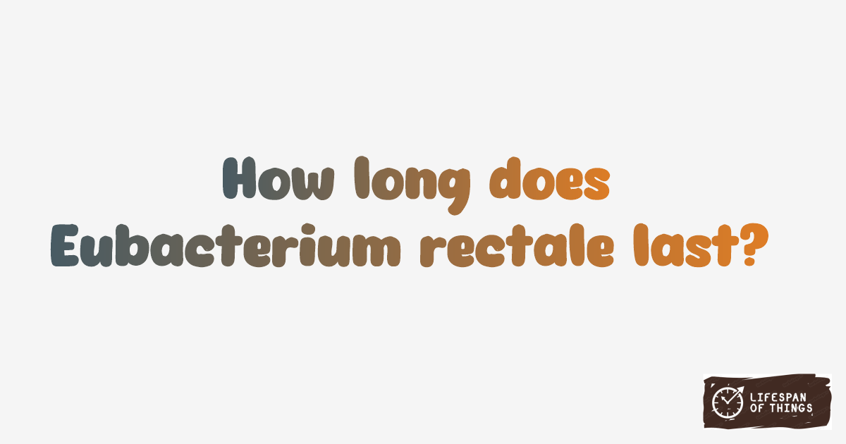 Lifespan of Eubacterium rectale