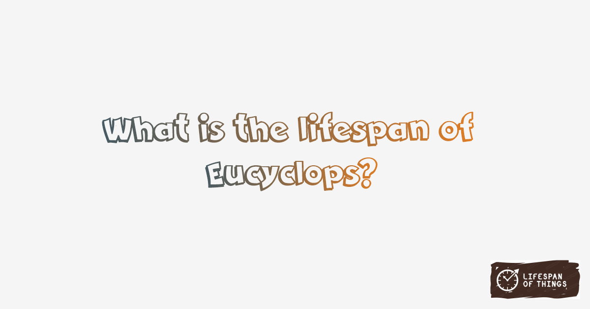 Lifespan of Eucyclops