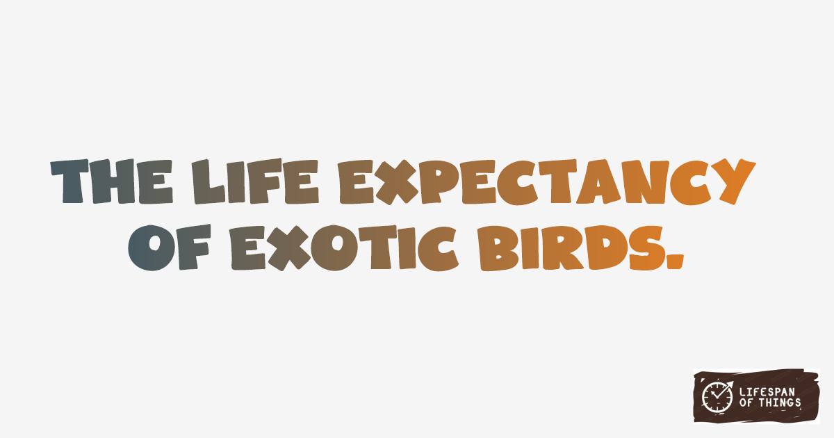 Lifespan of Exotic Birds