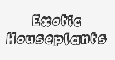 Thumbnail for lifespan of Exotic Houseplants