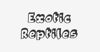 Thumbnail for lifespan of Exotic Reptiles