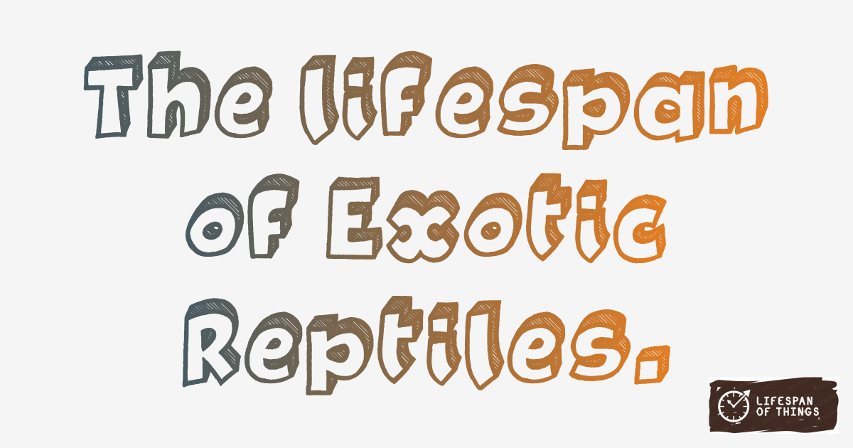 Lifespan of Exotic Reptiles